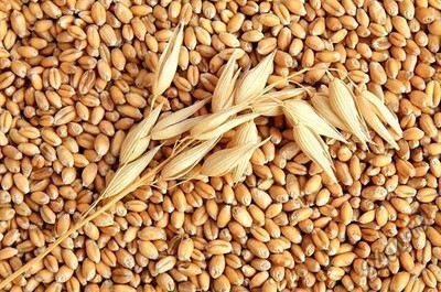 Как улучшить самочувствие с помощью овса?