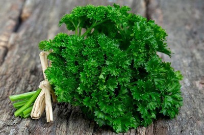 ​Получите бесплатные материалы о пользе зелени от нашей команды!